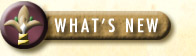 What's New section graphic