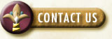 Contact Us title